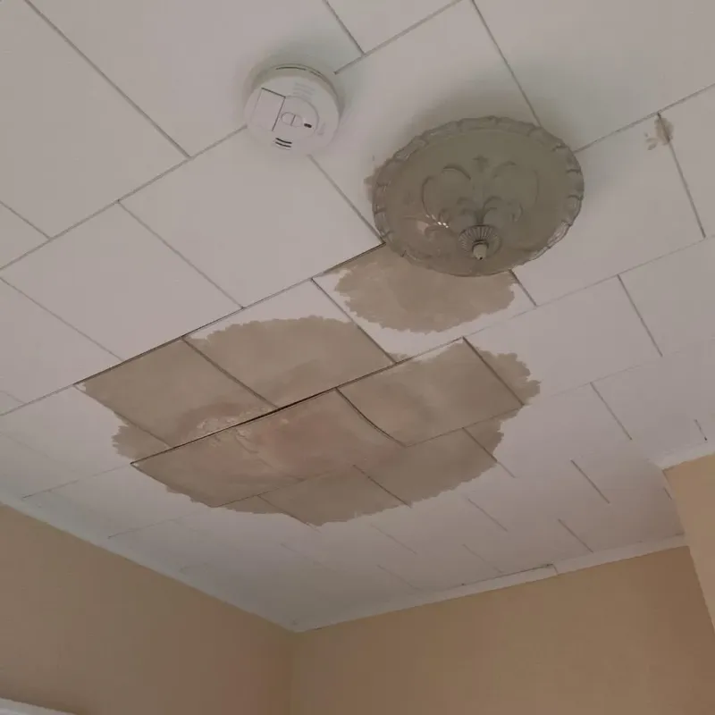 Ceiling Water Damage Repair in Meadows Place, TX