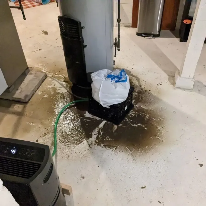 Sewage Backup Cleanup Service in Meadows Place, TX